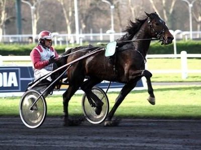 BTURFFORTROT....GOOGLE TRADUCTION...