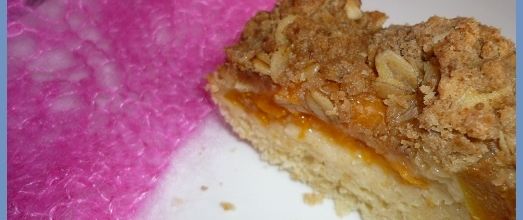 Gateau noix de coco / abricots et flocons d'avoine