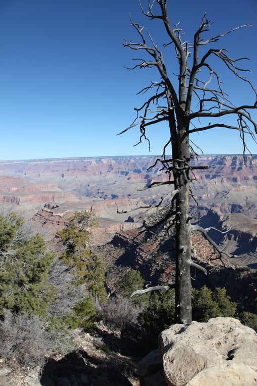 The road trip - Grand Canyon