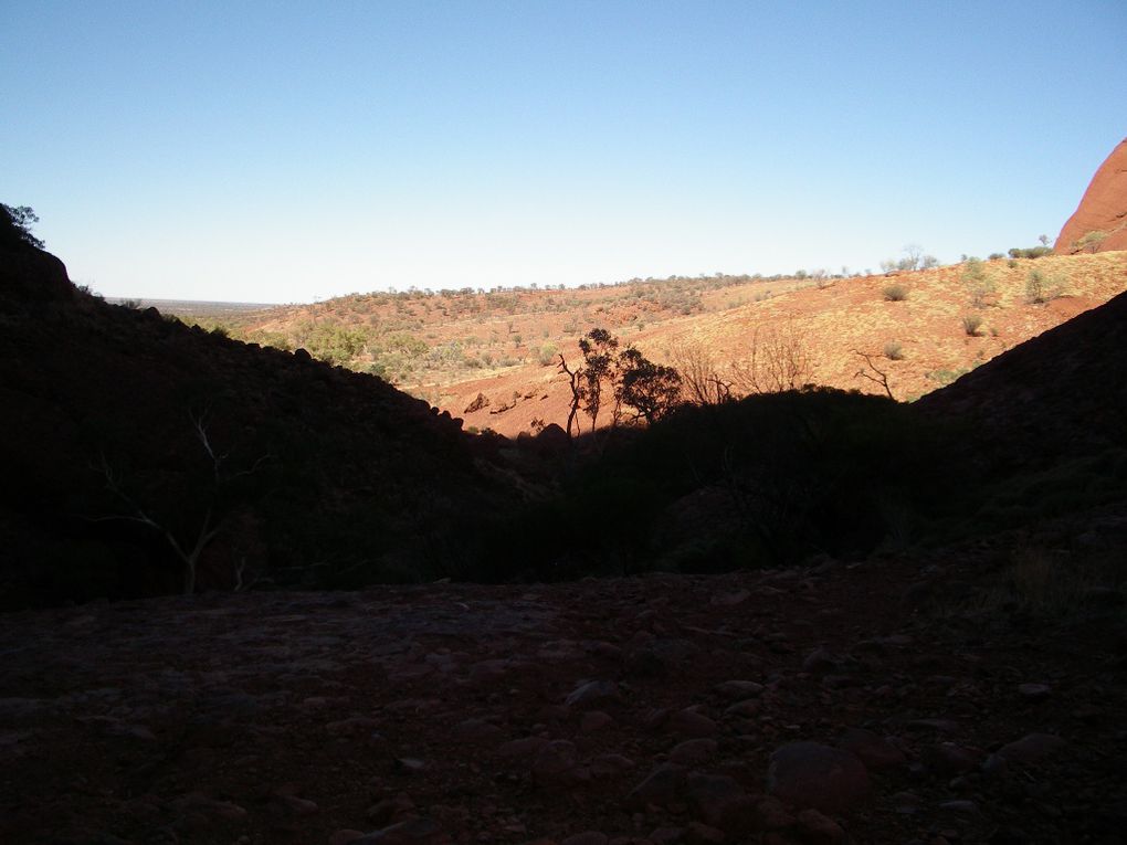 Album - The-Ultimate-Oz-Experience-2--Outback--The-Olgas---Ayers-Rock---Kings Canyon