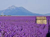 On en oublierait presque les couleurs....dans chacune des photos, notre oeil semble attiré par la bâtisse qui donne au paysage tout son cachet et la dimension d'un tableau de maître....et puis le soir, quand le soleil glisse à l'horizon, les couleurs changent à la vitesse du vent, passant du rose au pourpre.....quand je vous dis que cet endroit est magique....