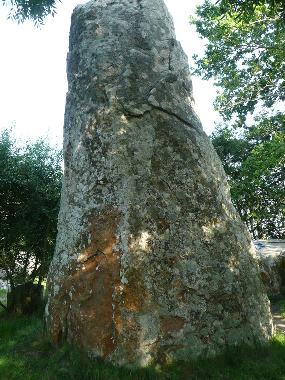 Le Morbihan (juillet 2013) en passant par Carnac et ses mégalithes; Erdeven; Le petit port de St Cado; la visite du Golfe en bateau; Vannes et ses habitations du moyen-âge ...
Une bonne cure d'air marin et la découverte de lieux hauts en énergie.