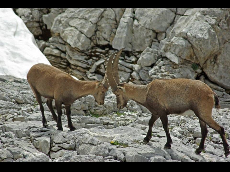 La France - Ballade dans les Alpes