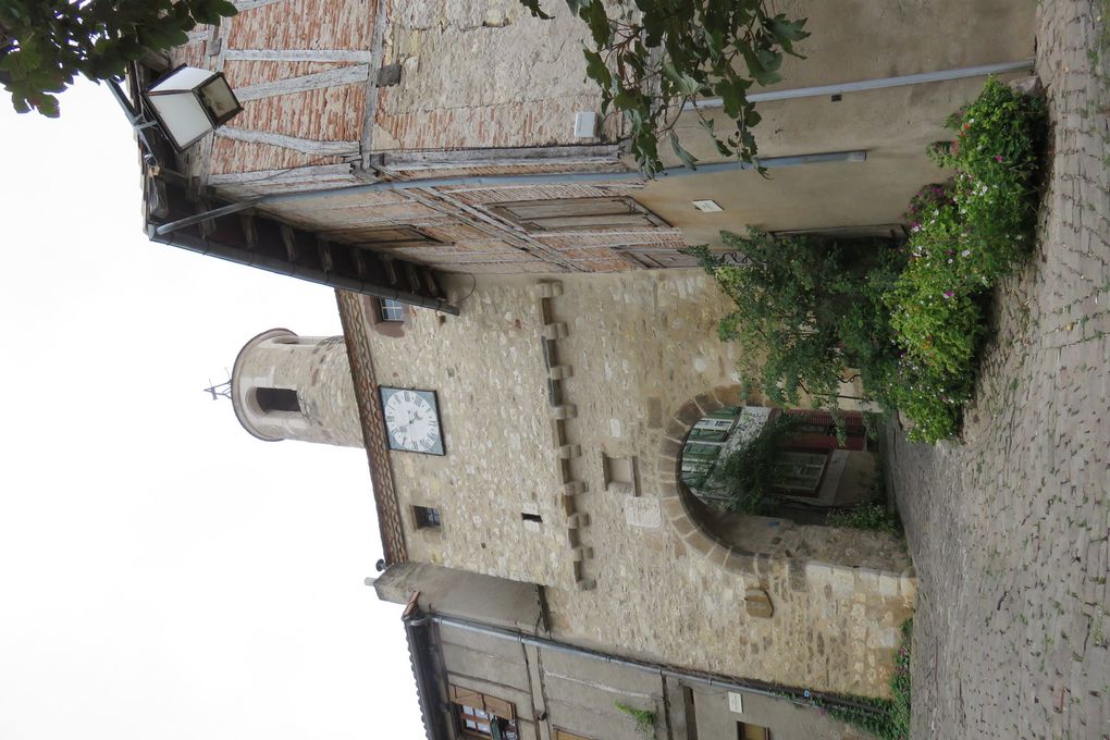 Visite d'ALBI et CORDES SUR CIEL 