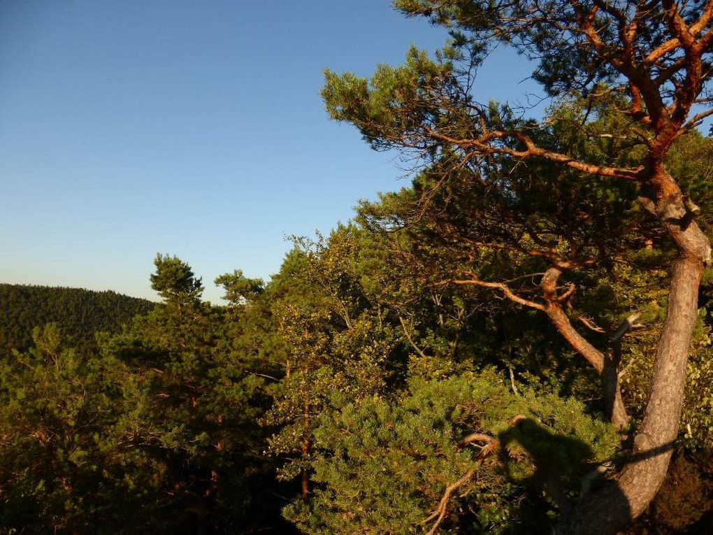 Le promontoire-observatoire du Galgenfels (massif du Löffelsberg, alt. 405 m) / diaporama.