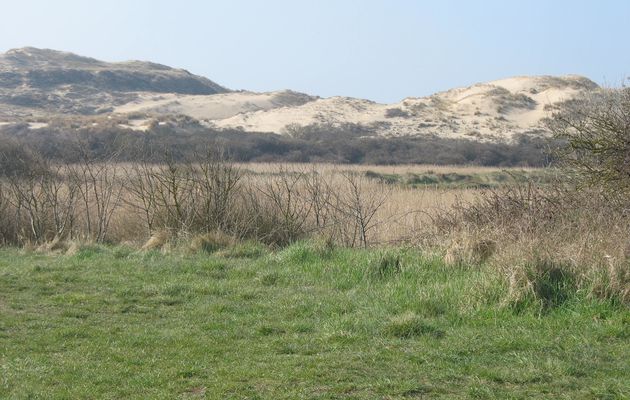 Le Nord-mercredi 28 mars 2012-les dunes de Slack