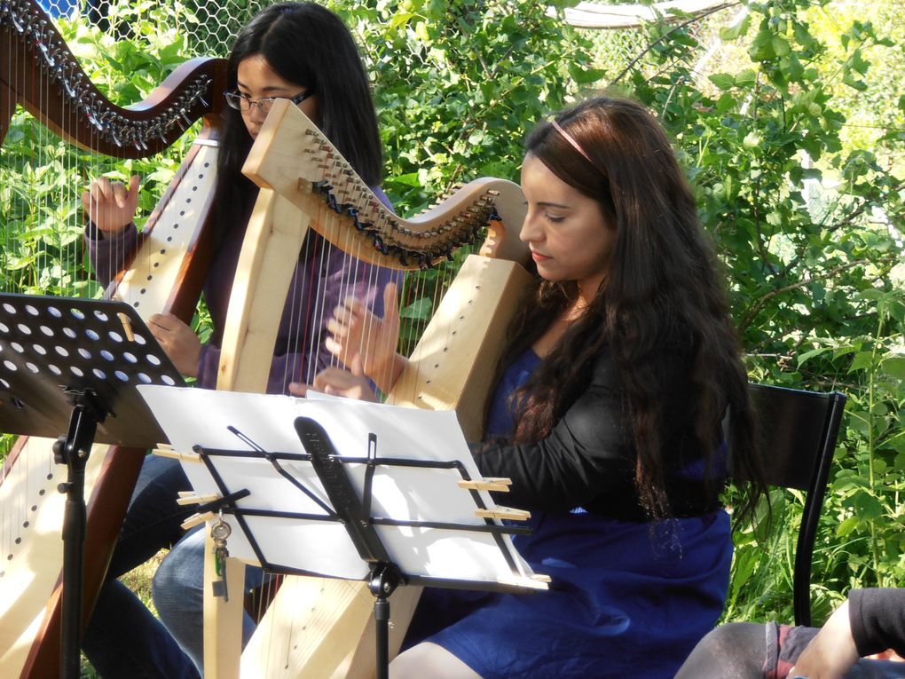 Concert de harpes celtiques le 7 juin 2012