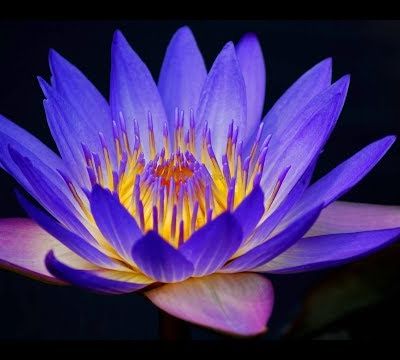 Bonne soirée à tous & toutes