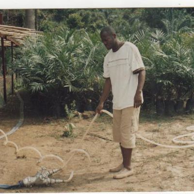 je mets en place une irrigation d'une pépinière de palmier à huile