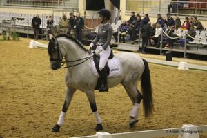 Saumur 2016 : vendredi 14 octobre : partie 19 : Présentation parAlain François, ses trois élèves et leurs chevaux.