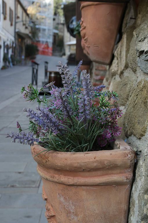 Castiglione delle Pescaia