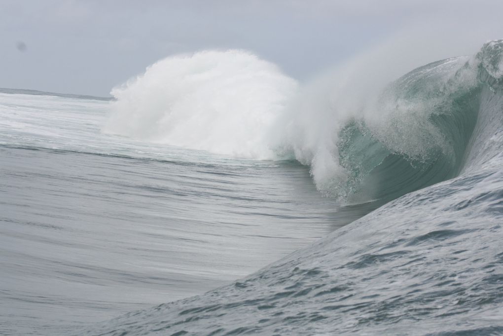 Album - VAGUES-DE-TEAHUPOO-AOUT-2011