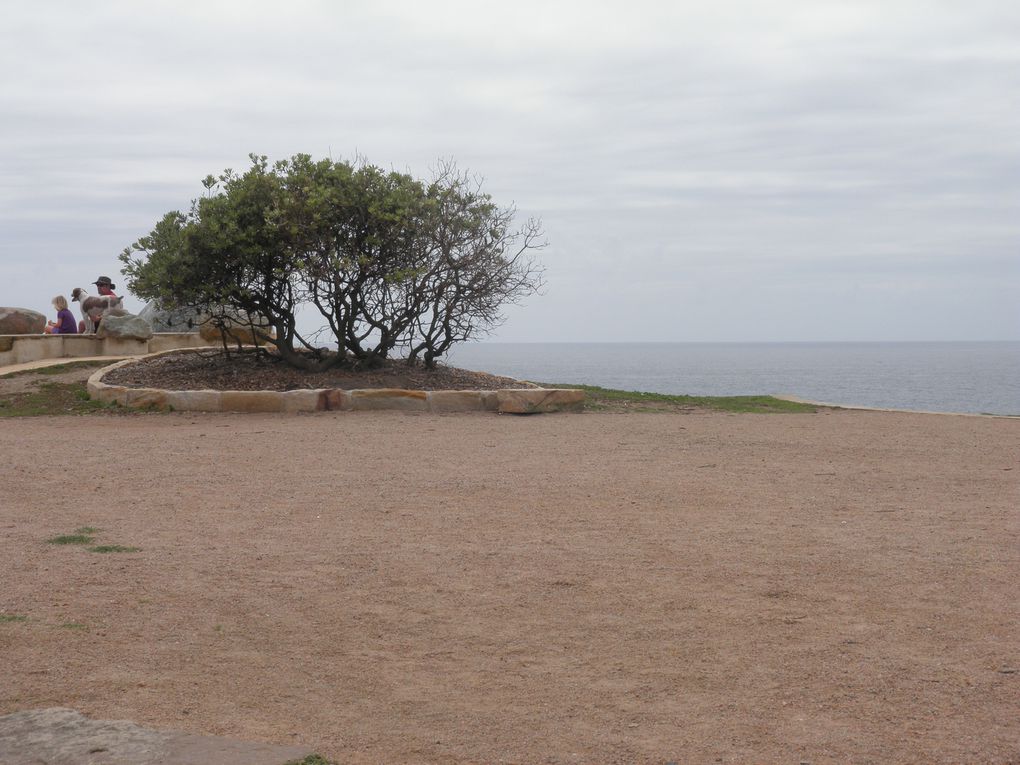 Album - SYD---LONG-REEF-BEACH