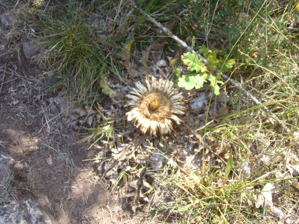 Rando à St Sauveur du Larzac Jeudi 13/09/2018