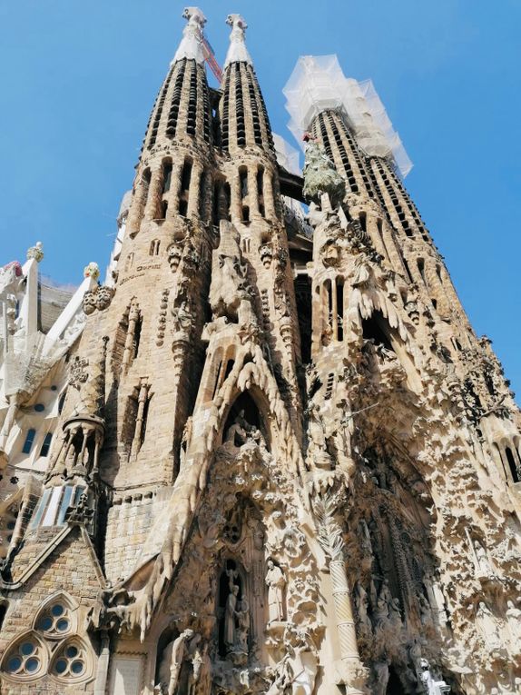 Sortie Jeunes Sagrada Família et Aquarium de Barcelona/Sortida Jovent Sagrada Família i Aquarium de Barcelona...