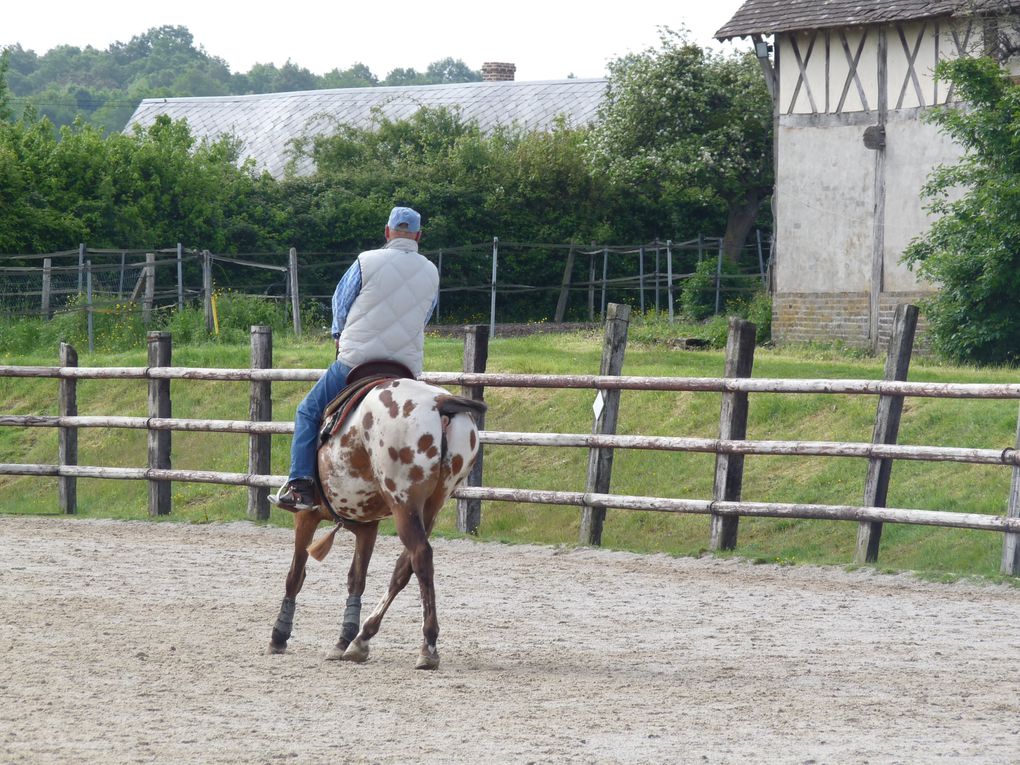 Album - 2013-05-28-stage-Lyne-Laforme