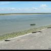 Baie de Somme