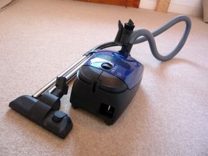 How Can Professional Carpet Cleaning Adelaide Experts Help You?