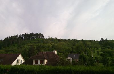 Sortie  Vaux Vézelay du vendredi 10 juin (test)