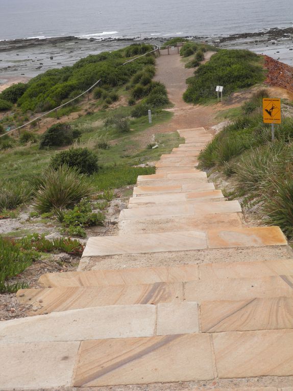 Album - SYD---LONG-REEF-BEACH