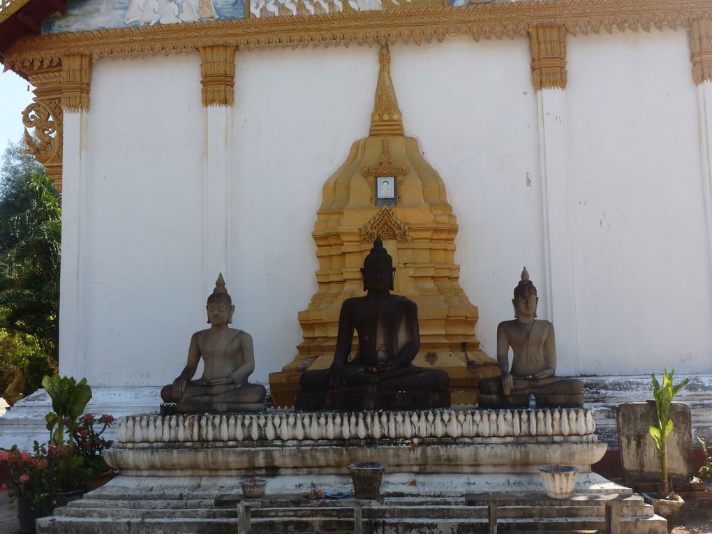 Et voilà les photos du Laos. Comme vous pourrez le voir, les paysages sont variés et nombreux