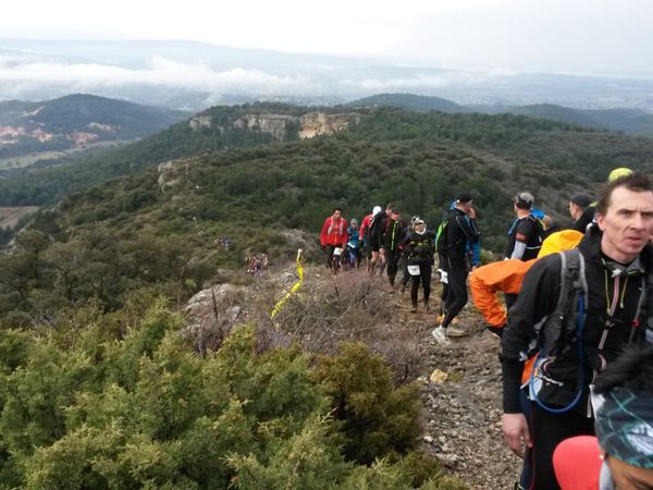 Trail du VENTOUX 2015