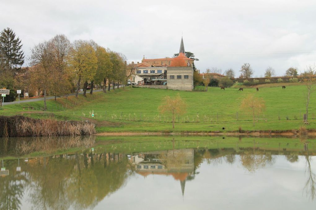 Aire de la Loire