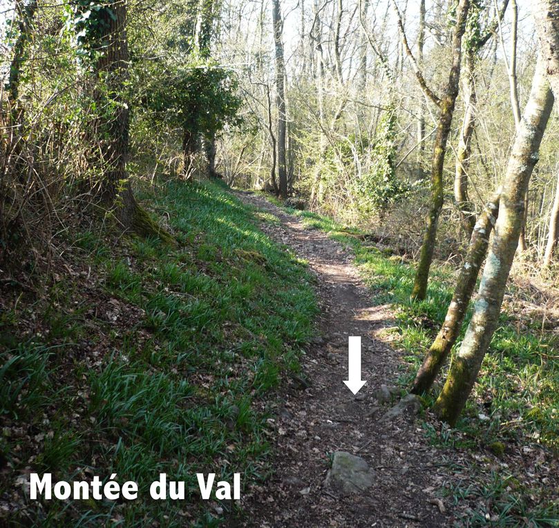 Le parcours de la Ronde des Alpes Mancelles en images