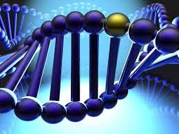 La reprogrammation de l'ADN, prémices de soins Quantiques.
