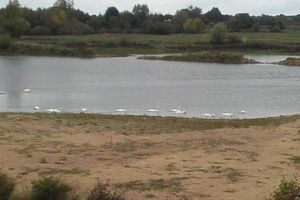 RANDO DU MARDI 10 OCTOBRE : CHALONNES SUR LOIRE