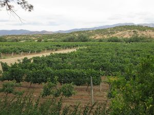 Nouvelles d'Argentine