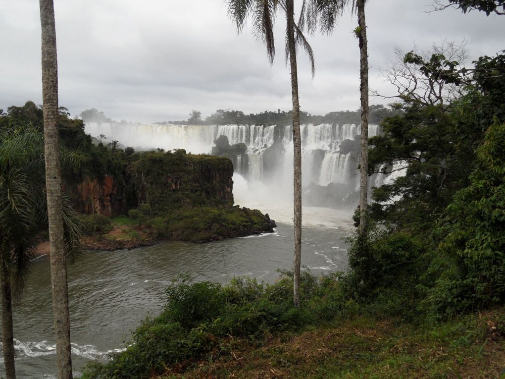 Album - Puerto-Iguazu