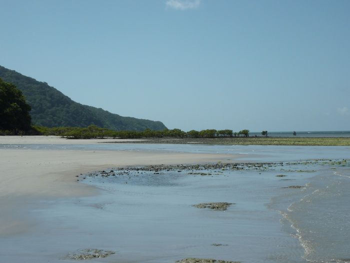 Remonte au Cape York depuis Cairns.
plage, 4x4 et Gunshot au programme!