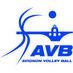 Volley Ball : Avignon VS Orange