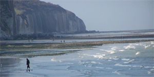 Quelques photos de Dieppe pour vous donner envie de nous rendre visite .....