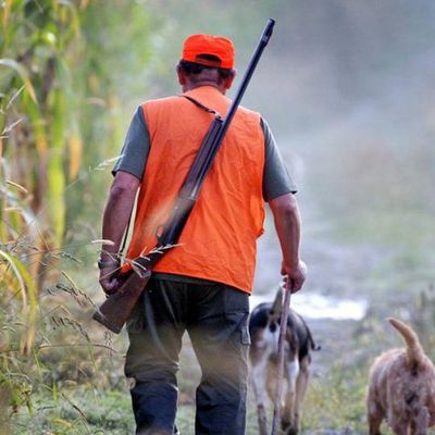 Pro et anti-chasse : comment peuvent-ils s’entendre ?