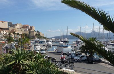 CALVI, la rebelle