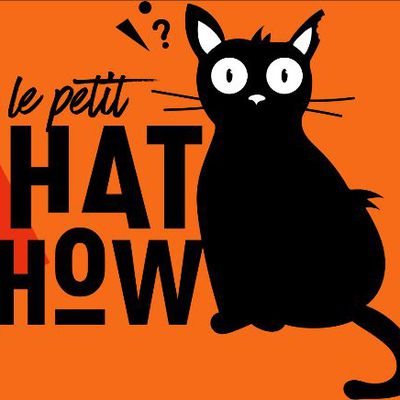 LANCEMENT DU PETIT CHAT SHOW - Le 20 mars de 18h à 20H en direct !