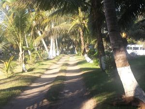 Arrivée à l’hôtel "La Pirogue" à Mahambo, embarquadére vers Ste Marie