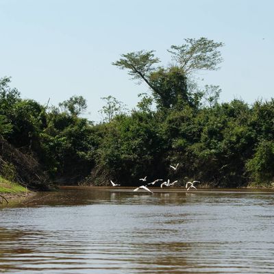 L'Amazonie : Paysages