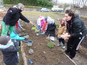 gardening