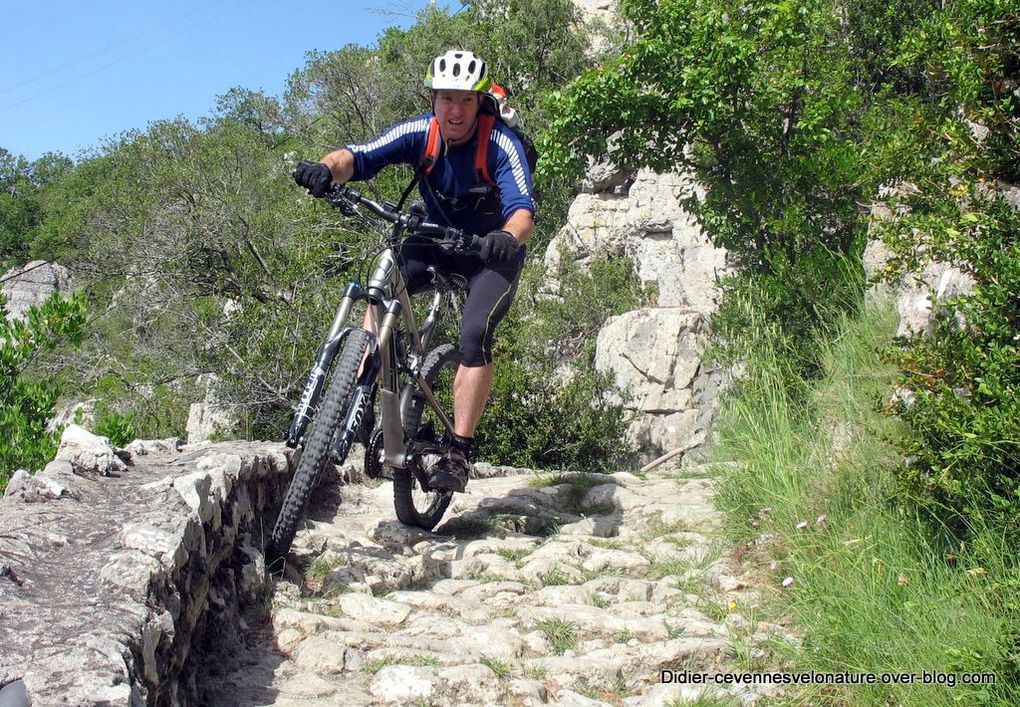 Album - Sorties Cévennes Vélo Nature en 2012