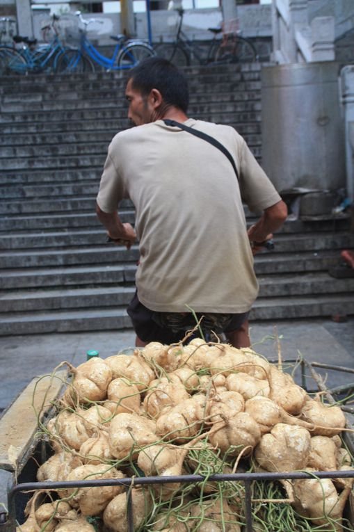 Album - Guangxi: Yangshuo