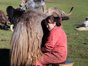 Mongolian pieces of life in the Naiman Nuur - Part 2