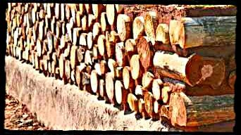 Construction en bois cordé pour un accord concordant avec la nature.