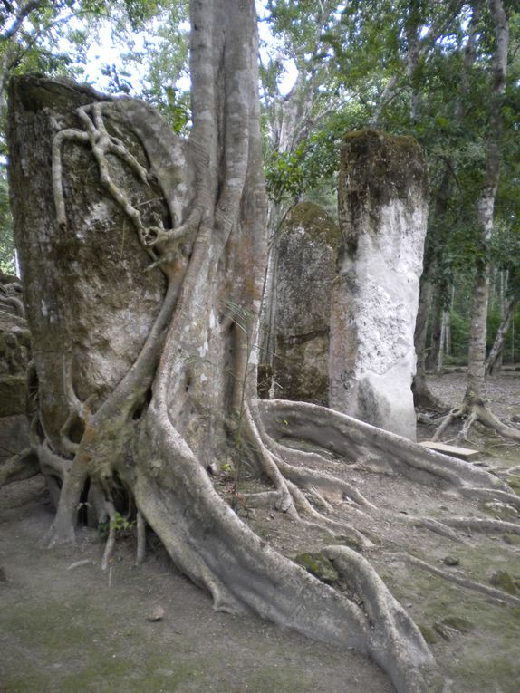 Quintana Roo, Yucatan