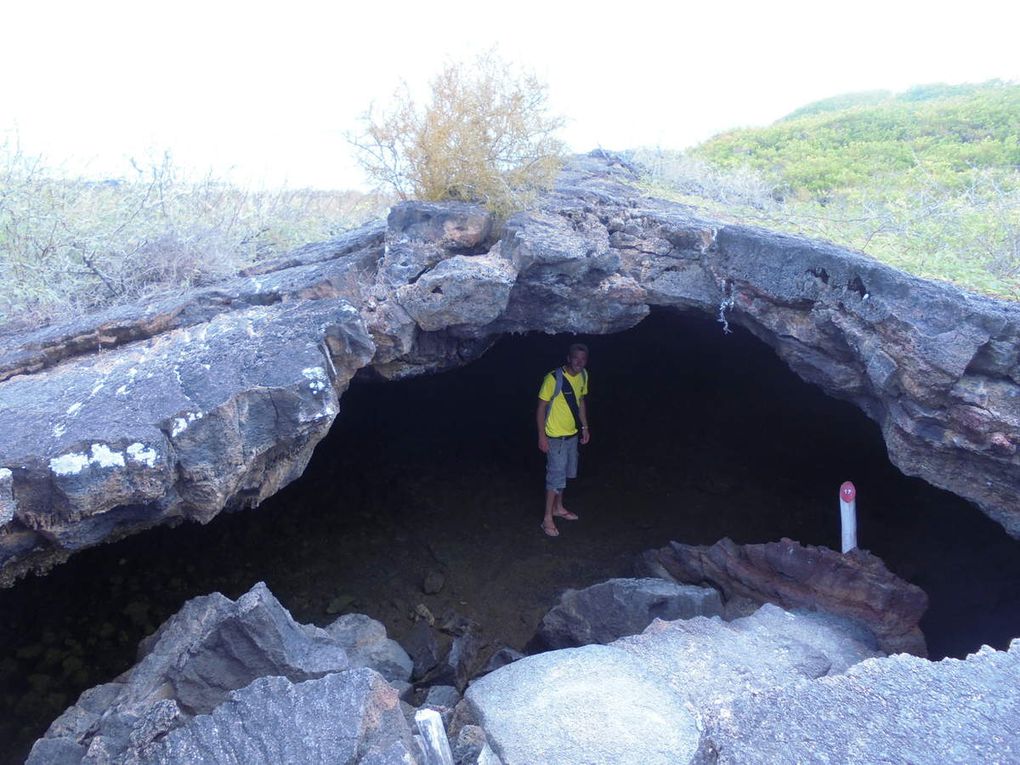 Archipel des Galápagos - un rêve éveillé