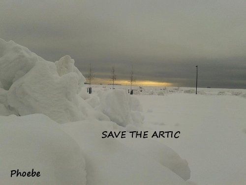 Album - SAVE-THE-ARCTIC