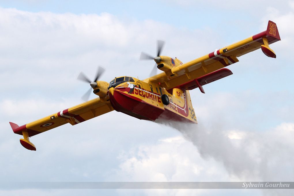 Meeting aérien 2015 - La Ferté-Alais : Le temps des hélices