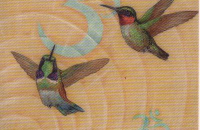 Le colibri avec Les Cartes des Oiseaux
